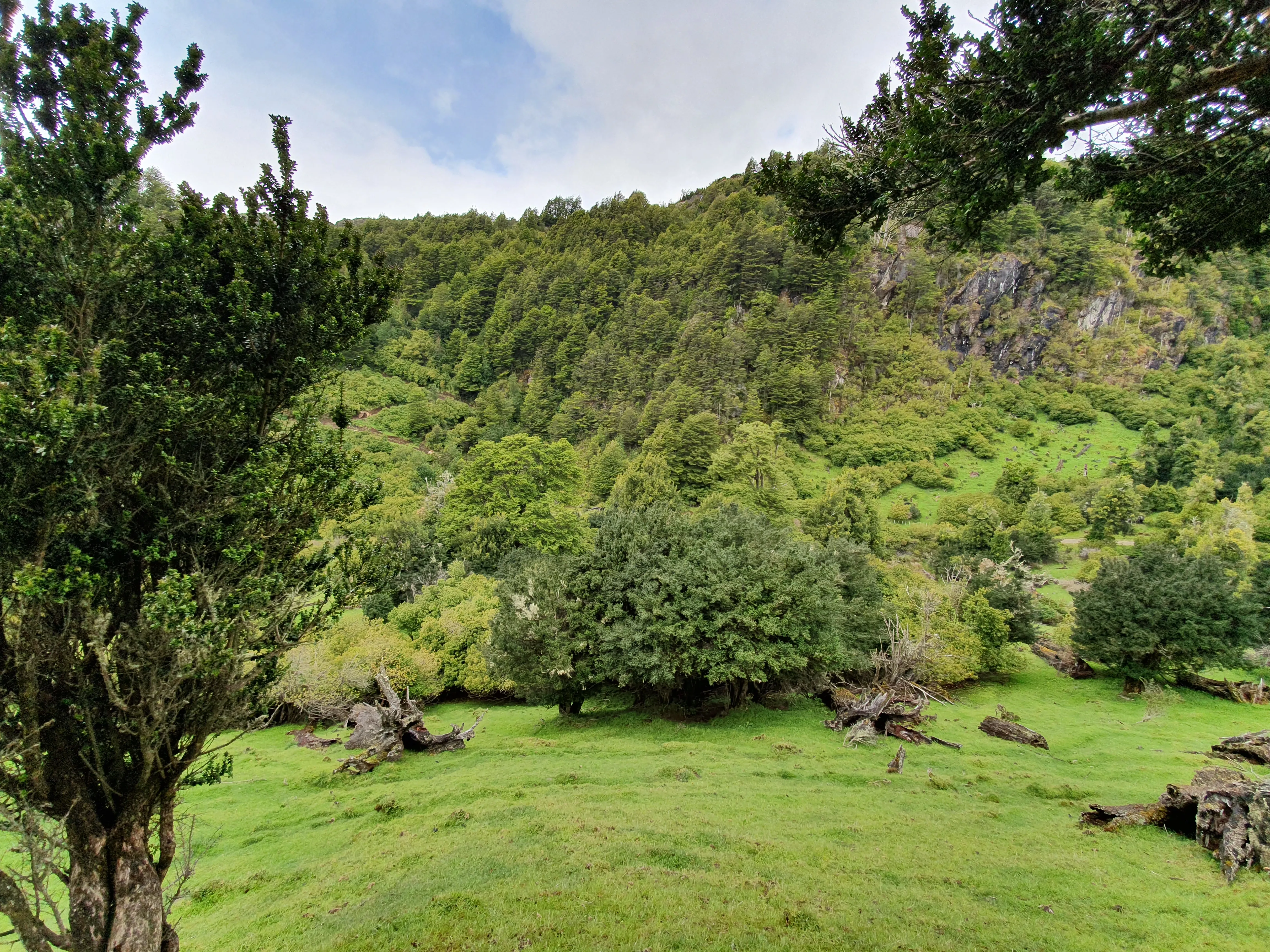 Paisaje de Mirador de Quetro, fotografía 19
