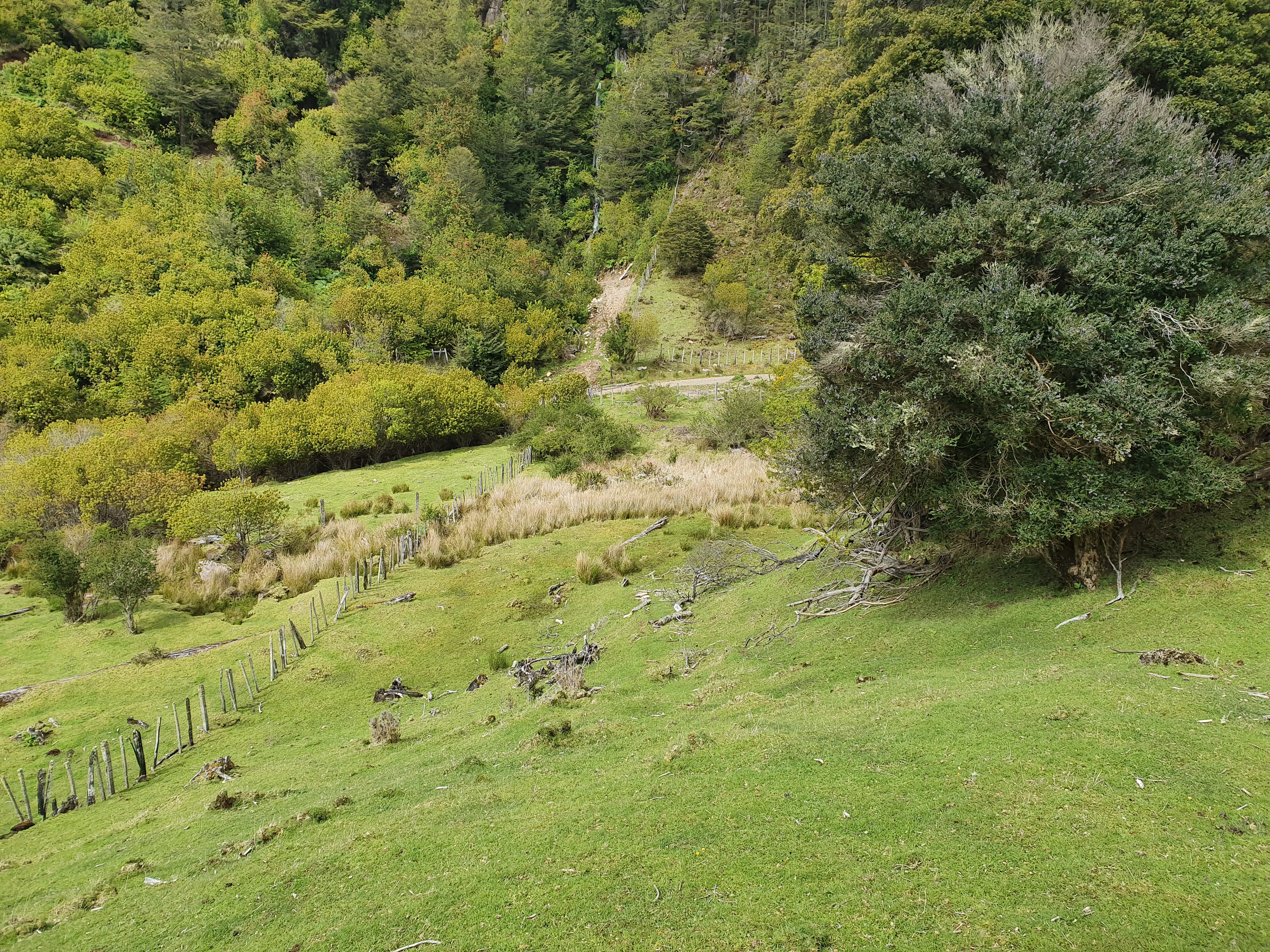 Paisaje de Mirador de Quetro, fotografía 2