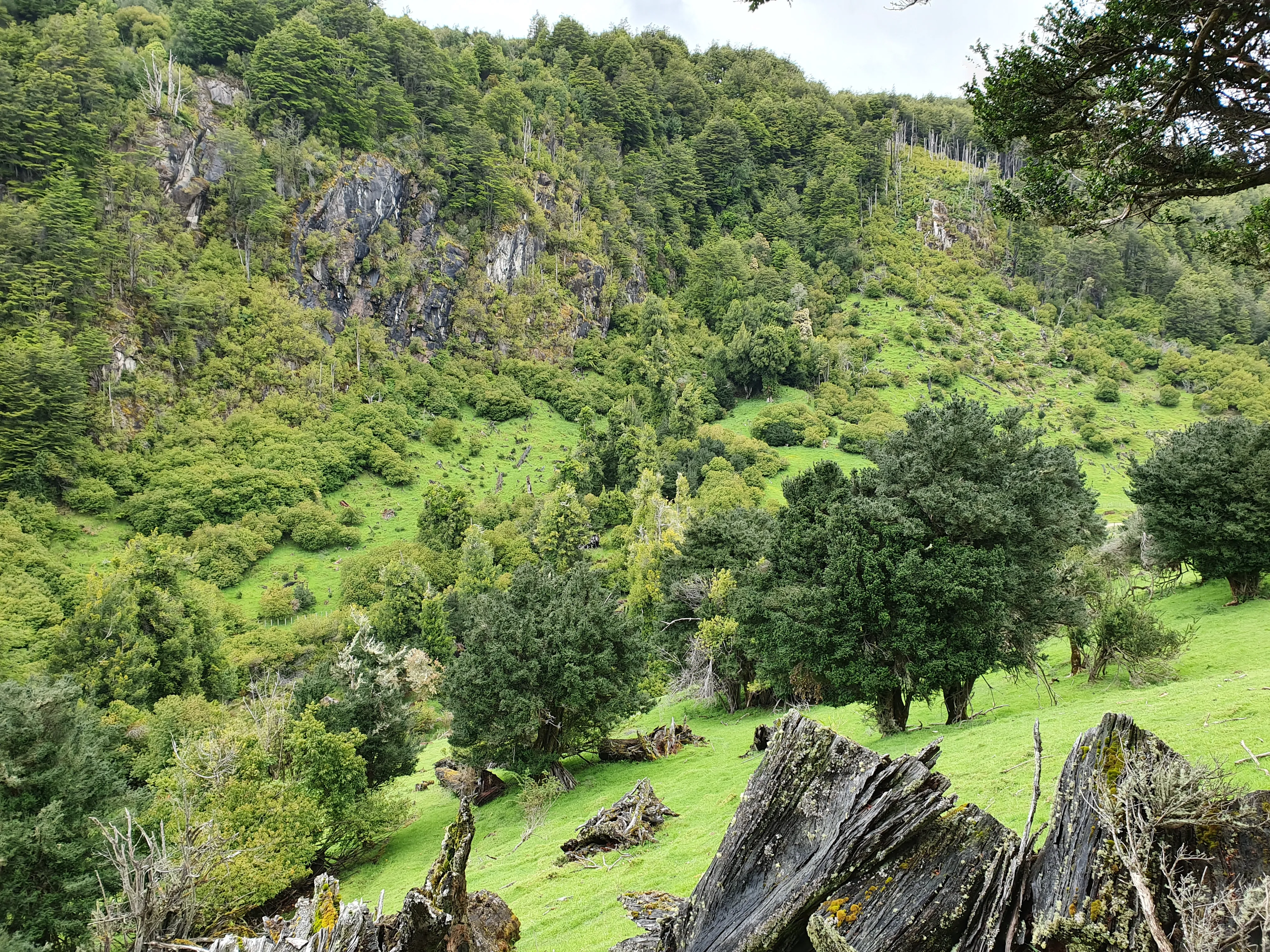 Paisaje de Mirador de Quetro, fotografía 20