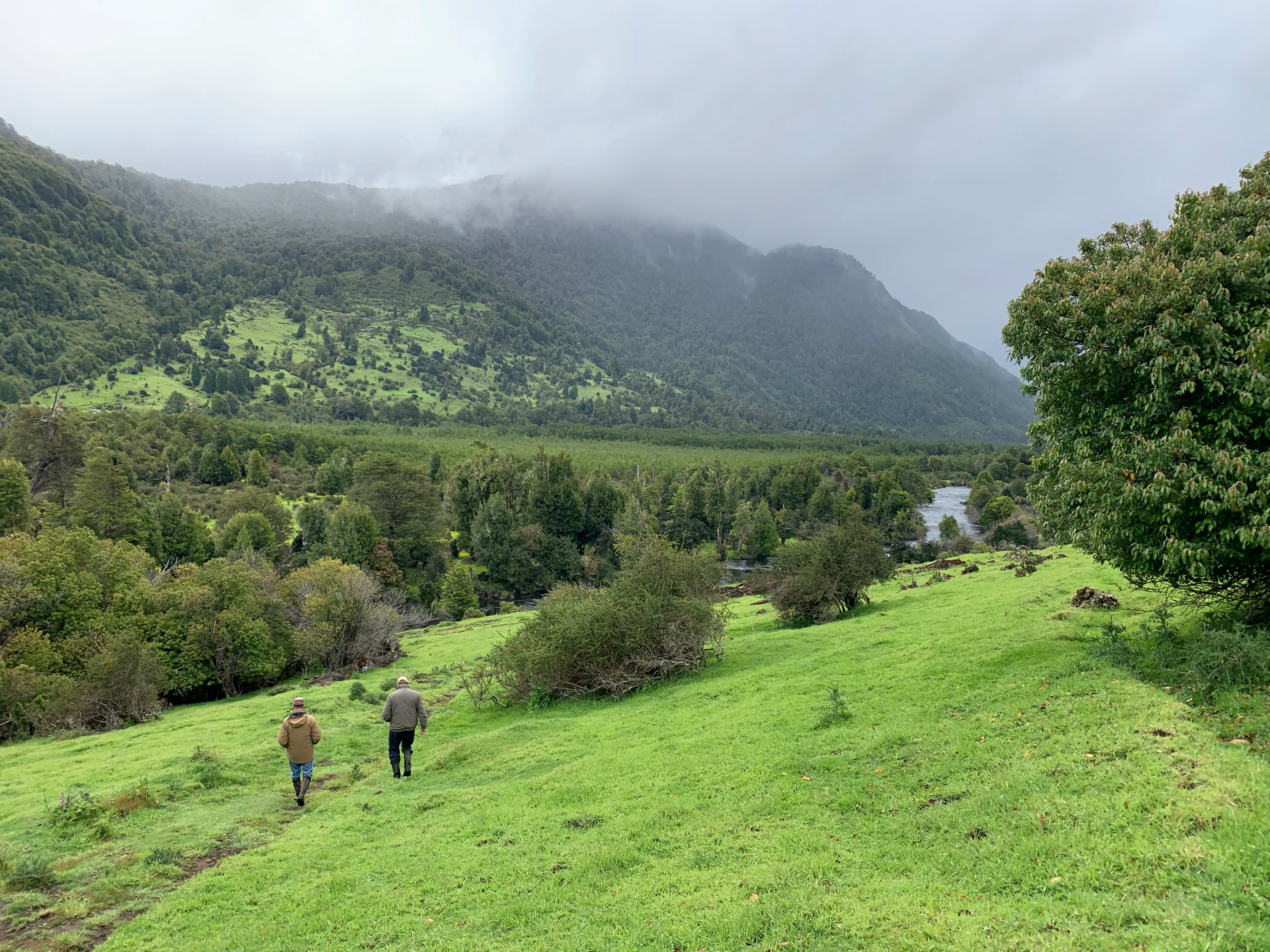 Paisaje de Mirador de Quetro, fotografía 23