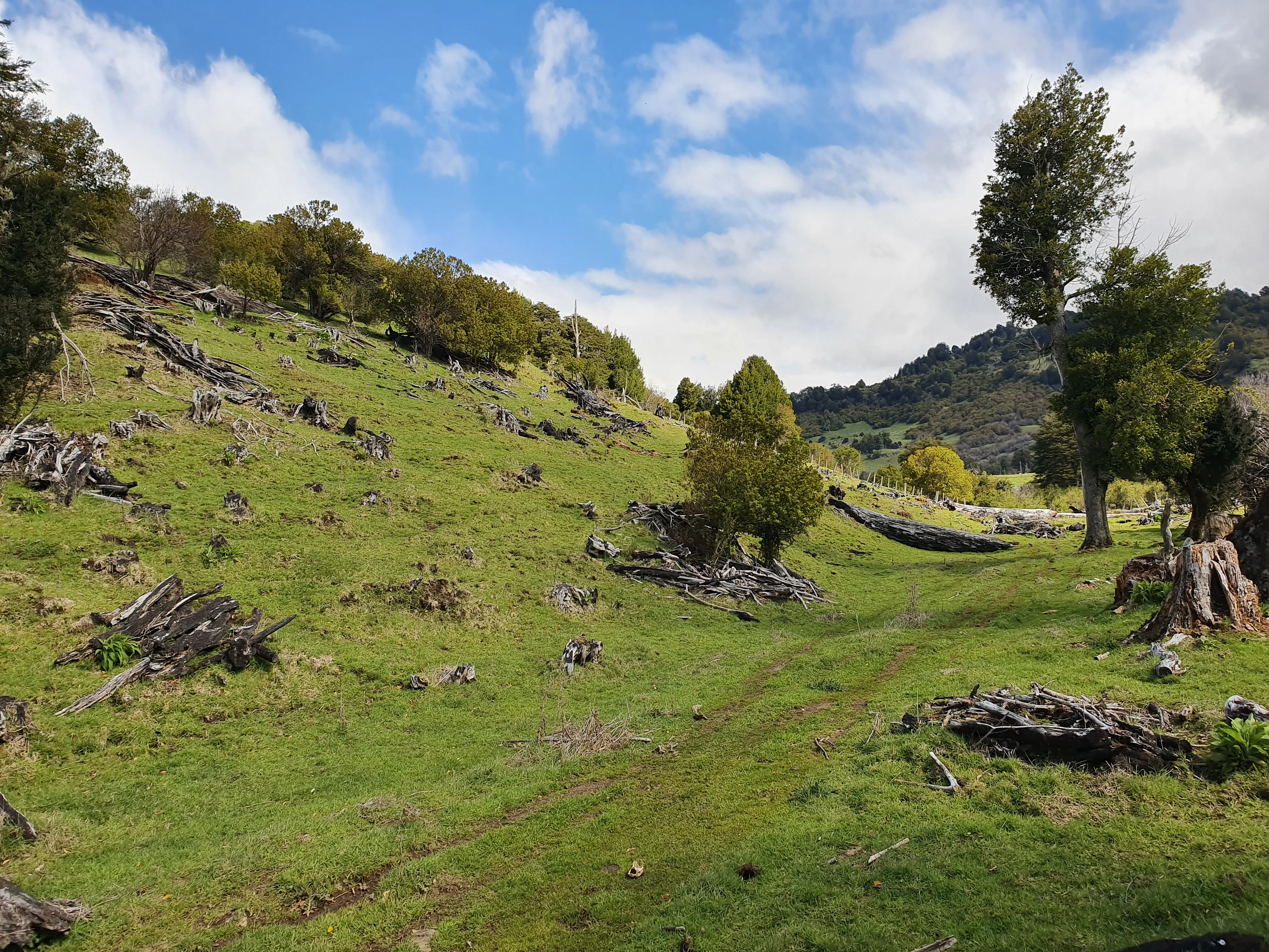 Paisaje de Mirador de Quetro, fotografía 6